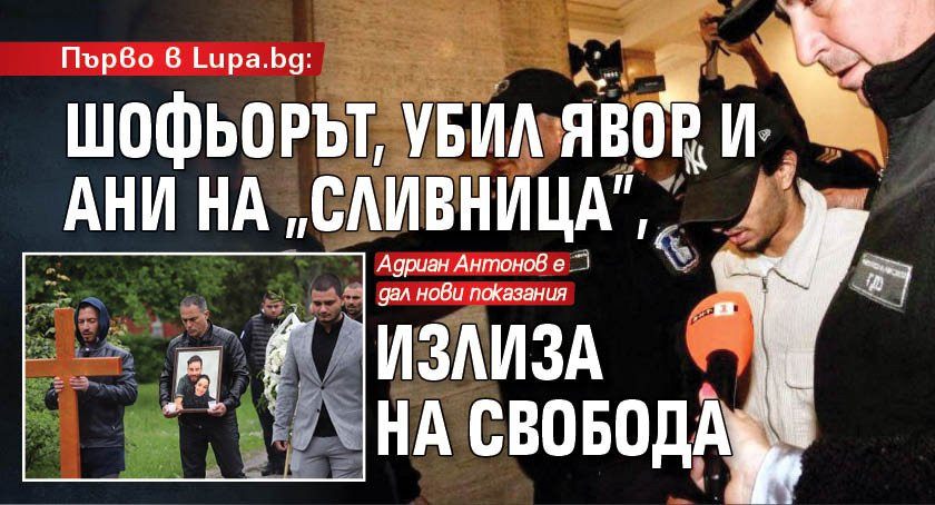 Младият водач, помел и убил Явор и Ани бул. "Сливница" излиза от ареста