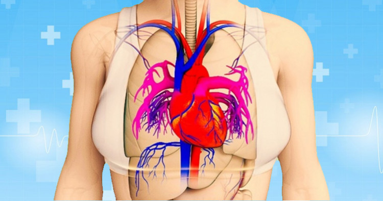 Тялото ни предупреждава месец преди инфаркта с 4 симптома - Снимка 2