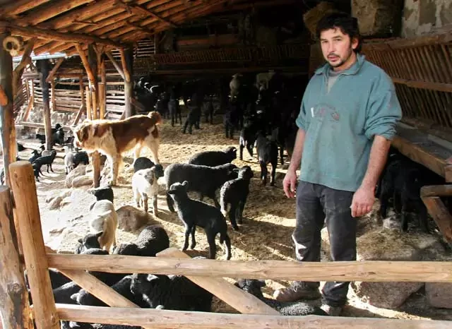 Общинари правят опити да затрият единствените каракачански стада у нас - Снимка 2