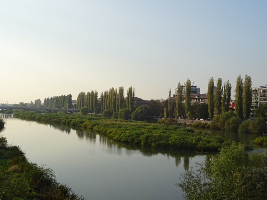 Огромни нарушения в община Пловдив с поръчка за почистването на река Марица