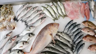 Любима риба на българина гони 120 лв/кг в ресторанта