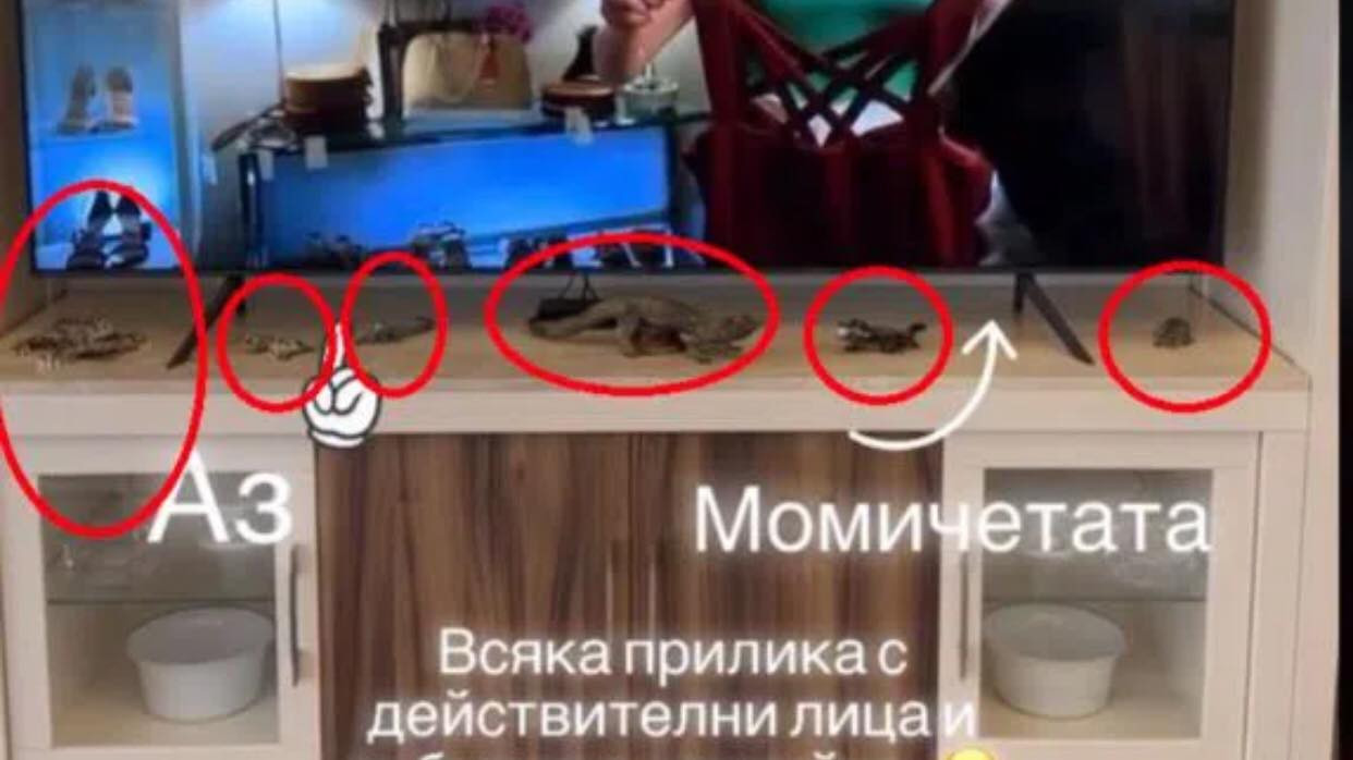 Ужас в дома на Светлана и Християн Гущерови: Това не може да е истина! (СНИМКИ) - Снимка 2