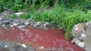 Кървава река „тече“ в Странджа