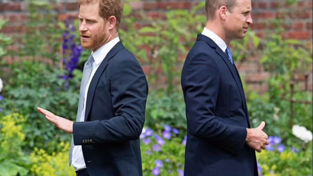Принц Хари и принц Уилям продължават да са отчуждени   Кралската
двойка