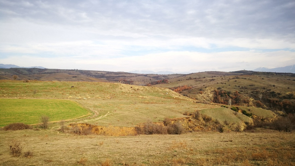 For Personal Gain, Toma Belev and Borislav Sandov Did Not Approve the Protected Area of Kamchiyski Piasatsi