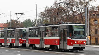 Столичният градски транспорт гъмжи от идиоти