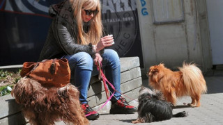 Муки обзаведе домашните си любимци по новата мода