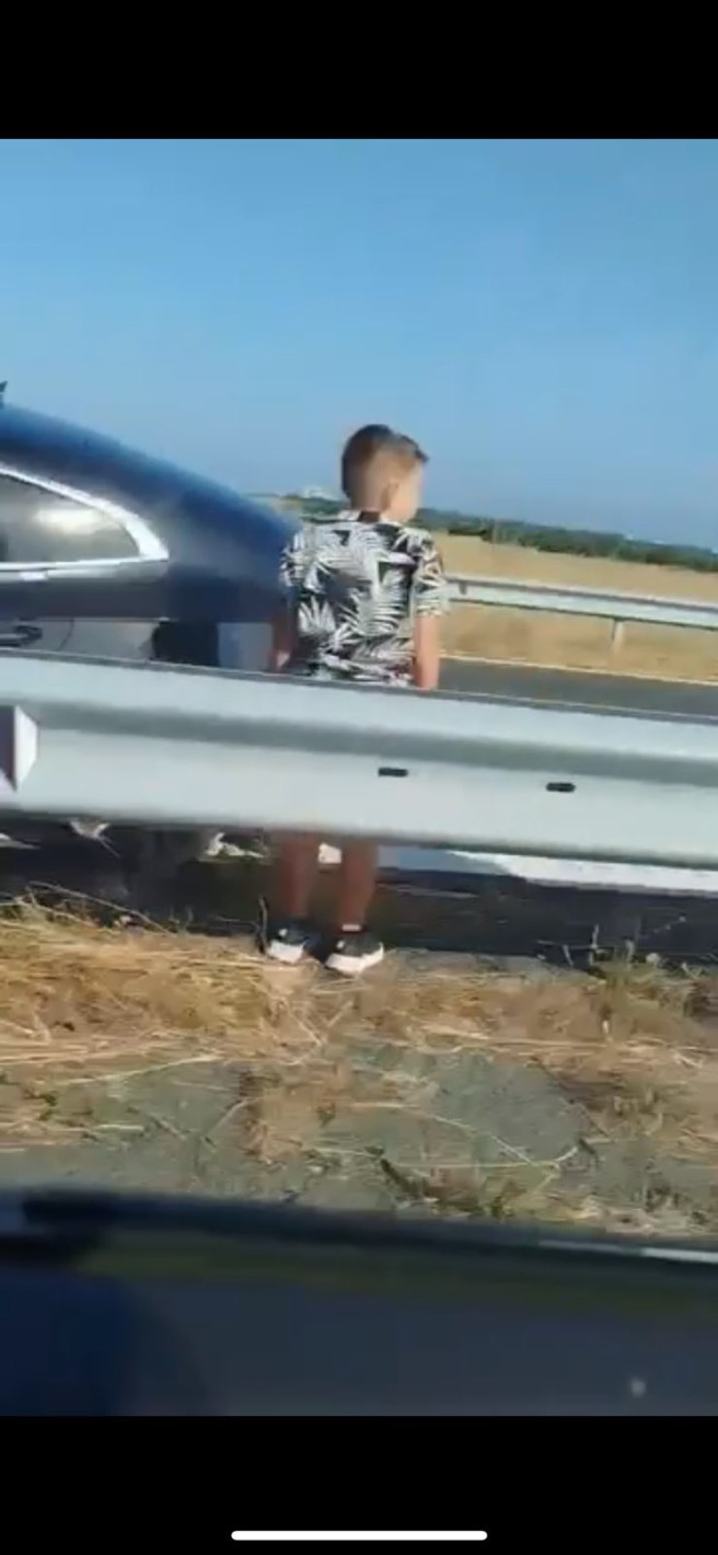 Две жени нахлуха с взлом в гараж, за да „спасят котенца в беда“