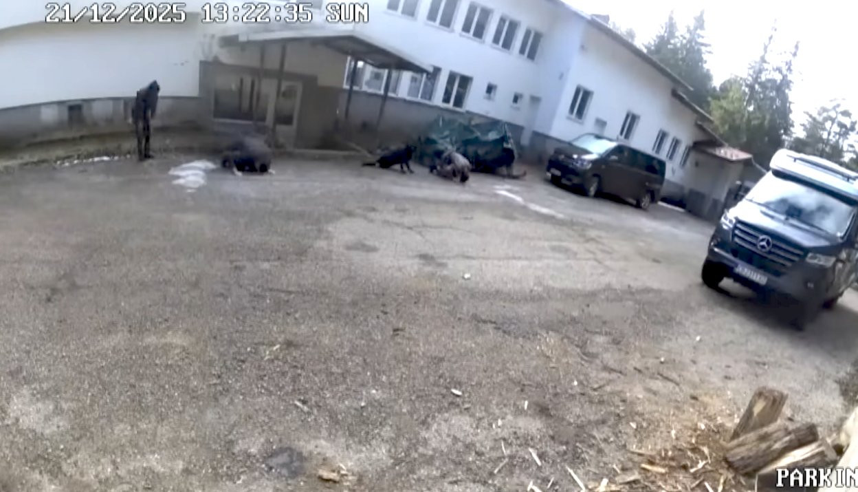Прокуратурата официално поиска помощ от САЩ и Европол по случая "Петрохан"