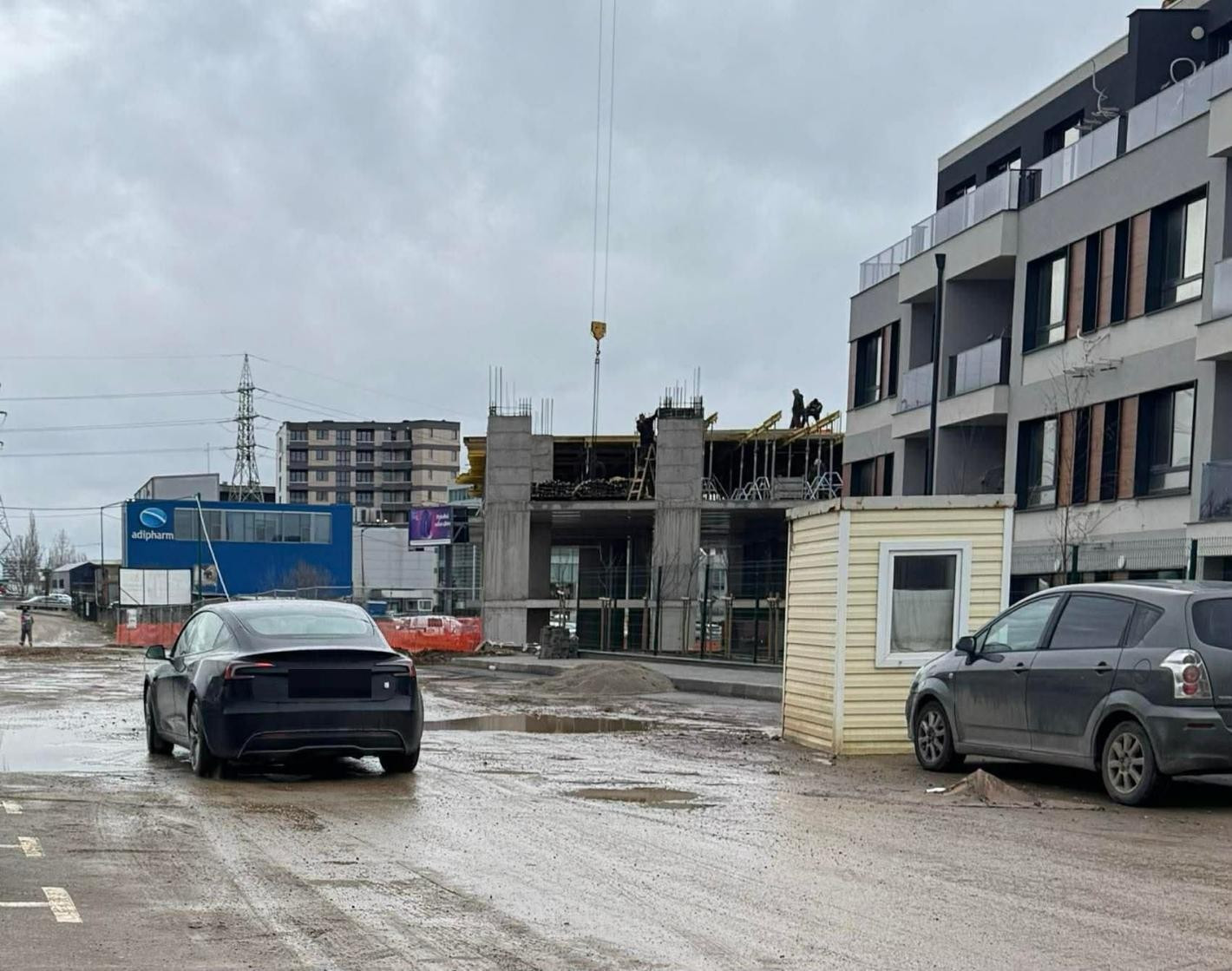 МВР погва Виктор Стоянов за криминално деяние срещу беззащитно животно!