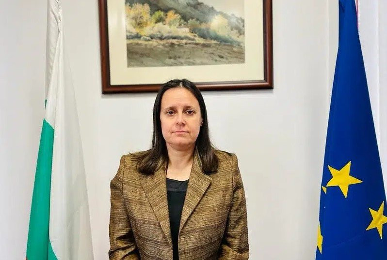 Уволниха и шефката на ДНСК