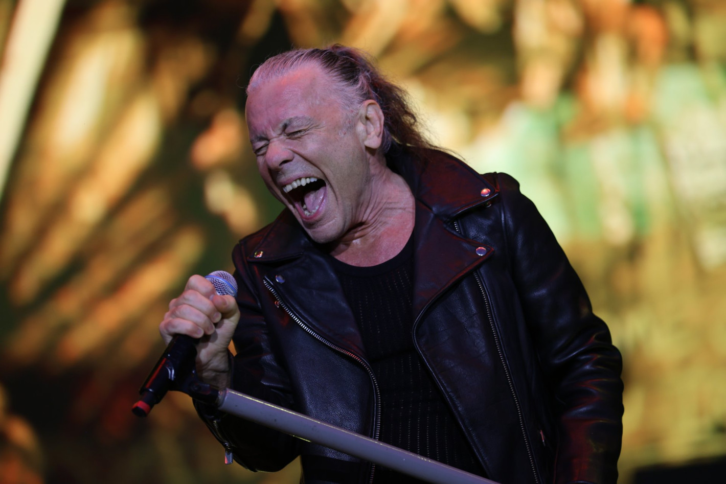 Iron Maiden разтърсиха 40 000 с епично шоу в София (снимки/видео)