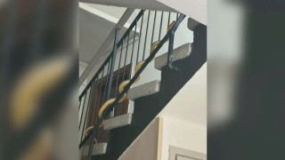 Голяма змия вся паника в блок в Пловдив, опитала се да влезе в апартамент на първия етаж