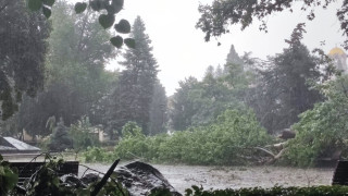 Бурята в София: Гръм събори дърво в градинката "Кристал", друго падна върху жиците на "Раковски" (ВИДЕО)