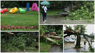 100 сигнала за паднали клони и дървета след бурята в София (снимки)