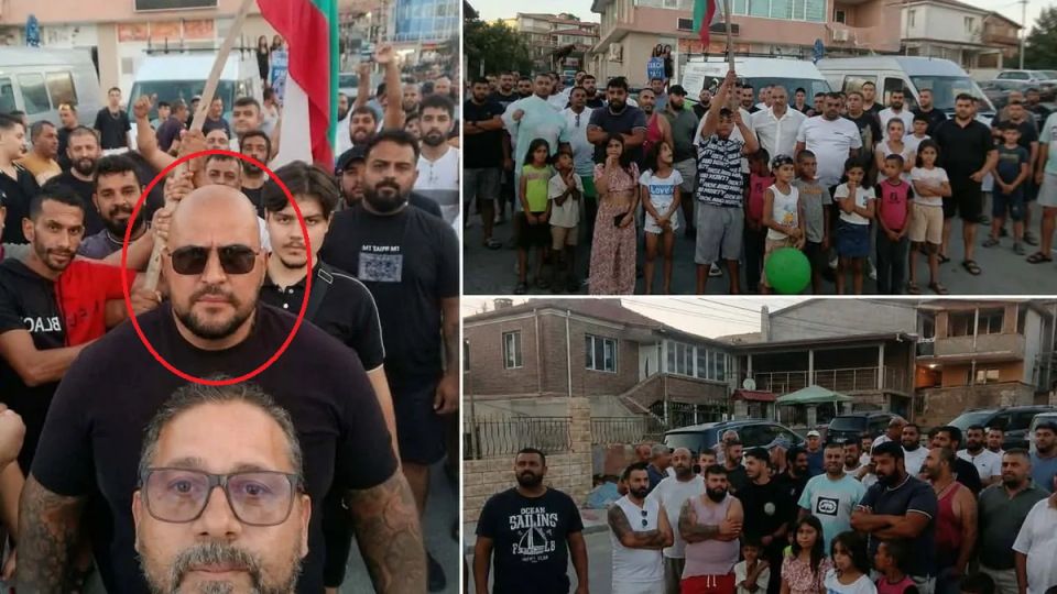 Гринго на Софка влиза в политиката?