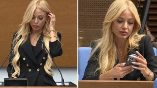Това министър ли е, или плеймейтка?